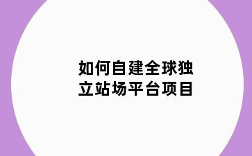 如何自建全球独立站场平台项目