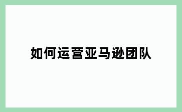 如何运营亚马逊团队