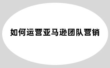 如何运营亚马逊团队营销