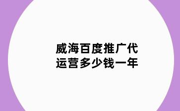 威海百度推广代运营多少钱一年