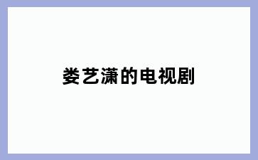 娄艺潇的电视剧