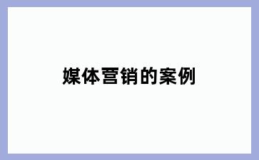 媒体营销的案例