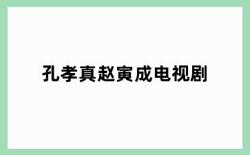 孔孝真赵寅成电视剧