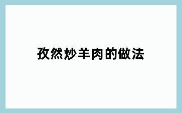 孜然炒羊肉的做法