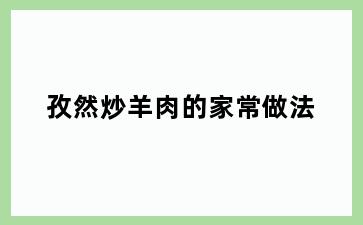 孜然炒羊肉的家常做法