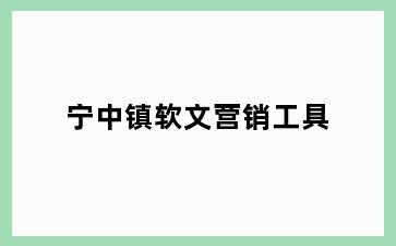 宁中镇软文营销工具