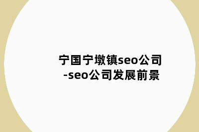 宁国宁墩镇seo公司-seo公司发展前景