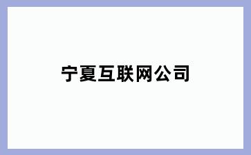 宁夏互联网公司