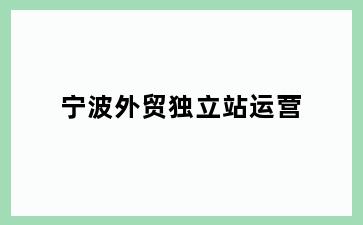 宁波外贸独立站运营