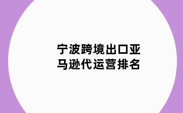 宁波跨境出口亚马逊代运营排名
