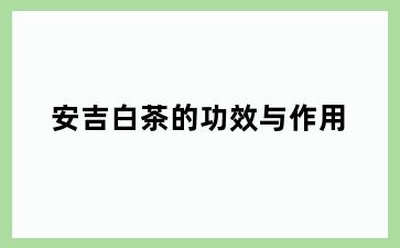 安吉白茶的功效与作用