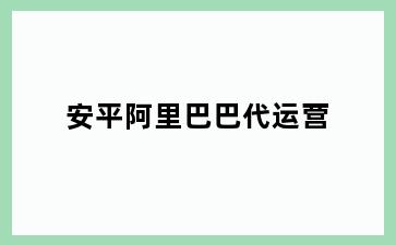 安平阿里巴巴代运营
