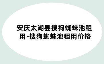 安庆太湖县搜狗蜘蛛池租用-搜狗蜘蛛池租用价格