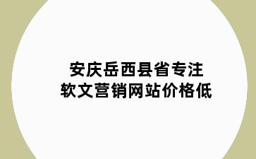 安庆岳西县省专注软文营销网站价格低