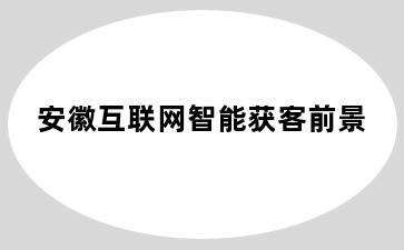 安徽互联网智能获客前景