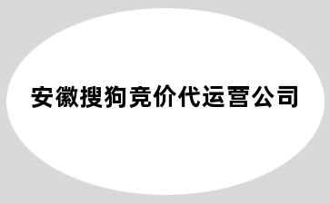 安徽搜狗竞价代运营公司