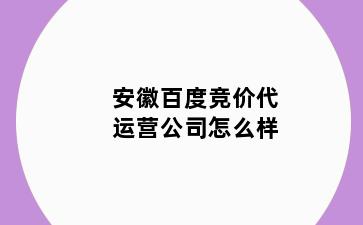 安徽百度竞价代运营公司怎么样