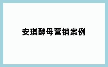 安琪酵母营销案例