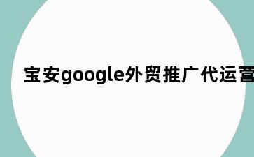 宝安google外贸推广代运营