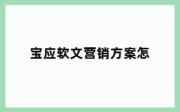 宝应软文营销方案怎
