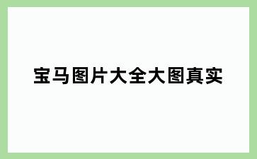 宝马图片大全大图真实