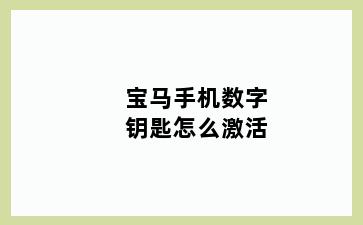 宝马手机数字钥匙怎么激活