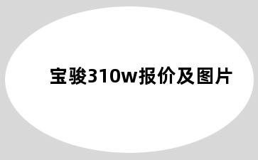 宝骏310w报价及图片
