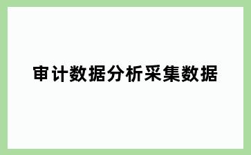 审计数据分析采集数据