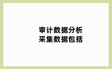 审计数据分析采集数据包括