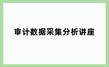 审计数据采集分析讲座