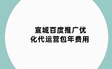 宣城百度推广优化代运营包年费用