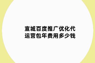 宣城百度推广优化代运营包年费用多少钱
