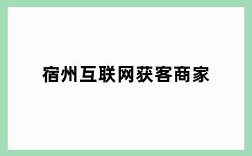 宿州互联网获客商家