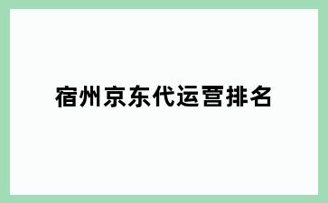 宿州京东代运营排名