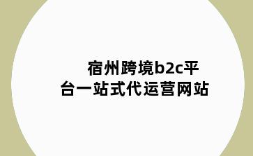 宿州跨境b2c平台一站式代运营网站