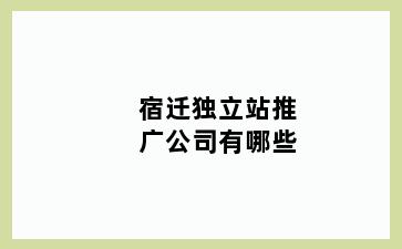 宿迁独立站推广公司有哪些