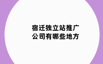 宿迁独立站推广公司有哪些地方
