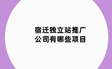 宿迁独立站推广公司有哪些项目
