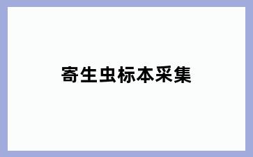 寄生虫标本采集