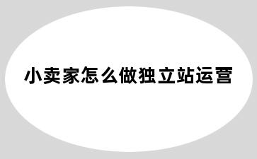 小卖家怎么做独立站运营