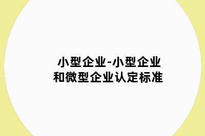 小型企业-小型企业和微型企业认定标准