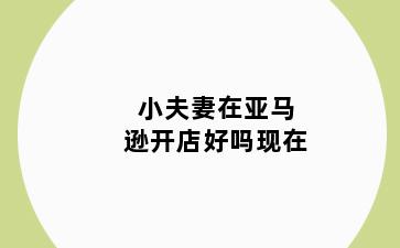 小夫妻在亚马逊开店好吗现在