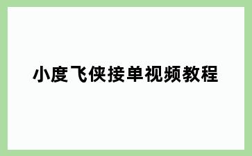 小度飞侠接单视频教程