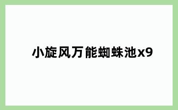 小旋风万能蜘蛛池x9