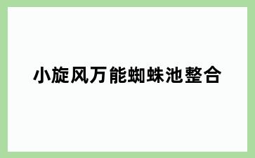 小旋风万能蜘蛛池整合