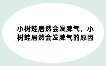 小树蛙居然会发脾气，小树蛙居然会发脾气的原因