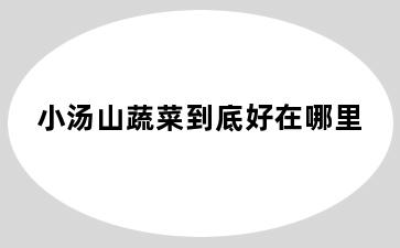 小汤山蔬菜到底好在哪里