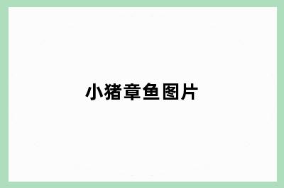 小猪章鱼图片