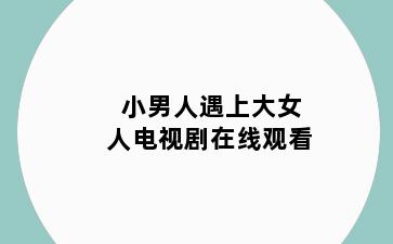 小男人遇上大女人电视剧在线观看