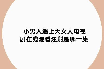 小男人遇上大女人电视剧在线观看注射是哪一集